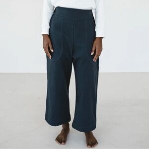 Aliya Wanek Women’s Cotton Wide Leg Indra Pants Cropped High Rise in Gray Size S